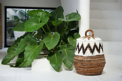 Le Panier Little Bay Beach - Naturel Blanc - M