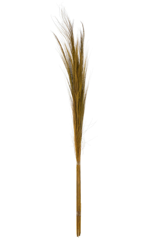 Bouquet de 15 brins d'herbe Naturel