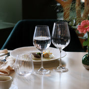 Boite de 6 verres a pied Astral 50cl en cristallin