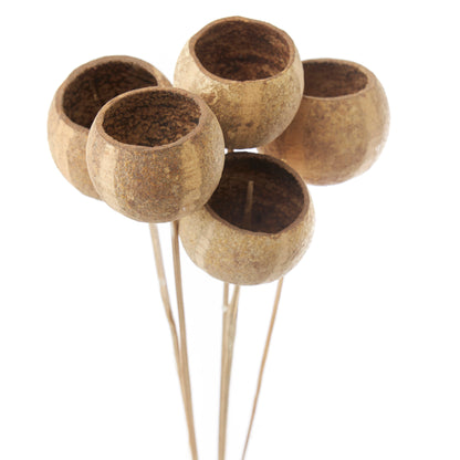 Fleurs séchées naturelles (lot de 5)