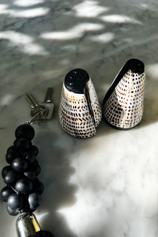 Ensemble sel & poivre Coquille