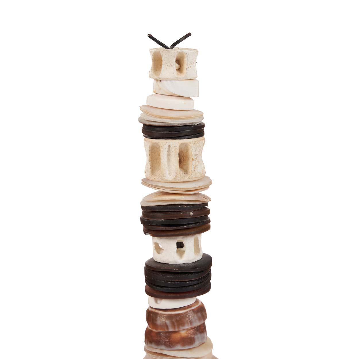 Le Money Shell sur Pied - Noir Blanc - L