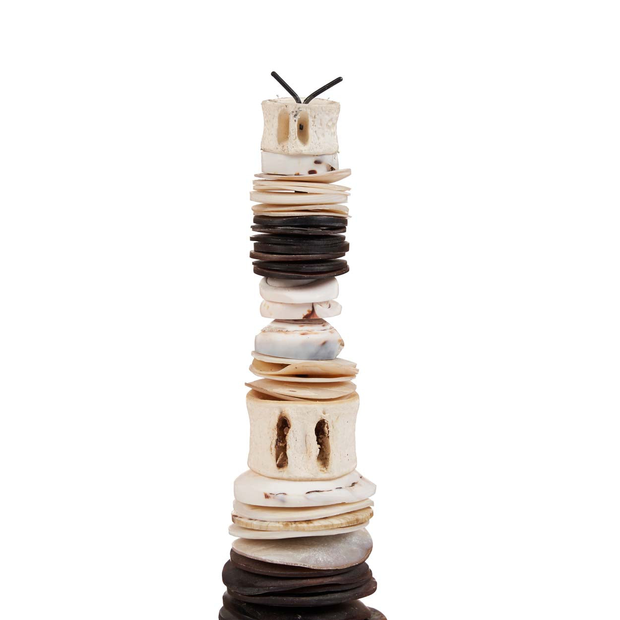 Le Money Shell sur Pied - Noir Blanc - M