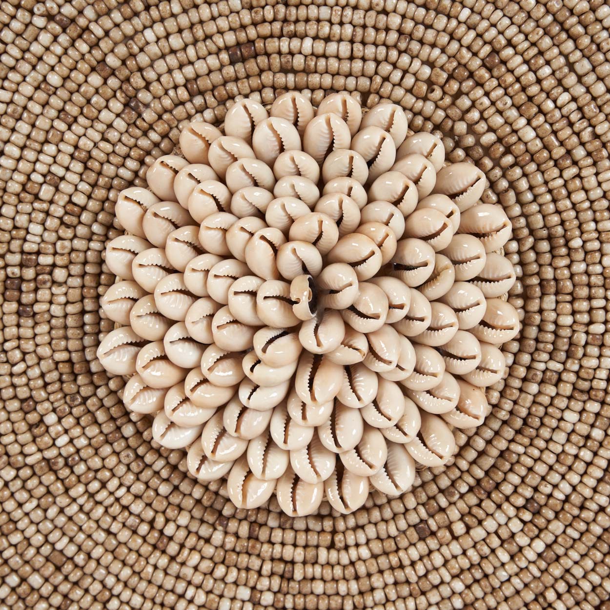 Shell Guadeloupe Sur Pied - Naturel Blanc
