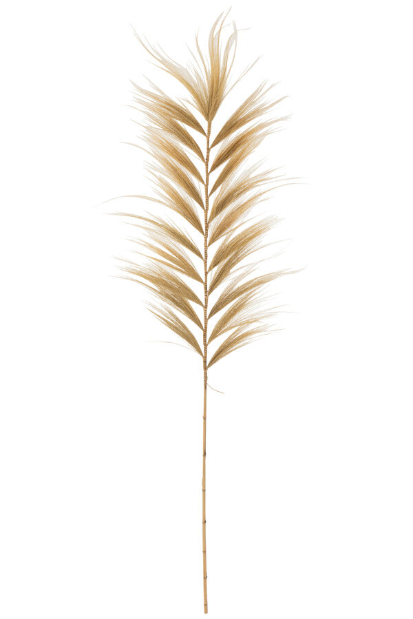 Branche Rayung Herbe Naturel