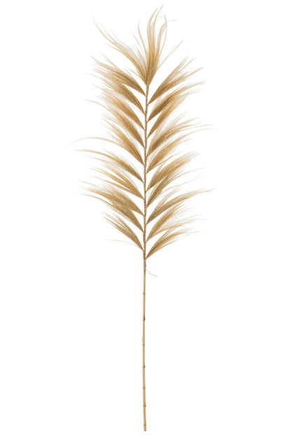 Branche Rayung Herbe Naturel