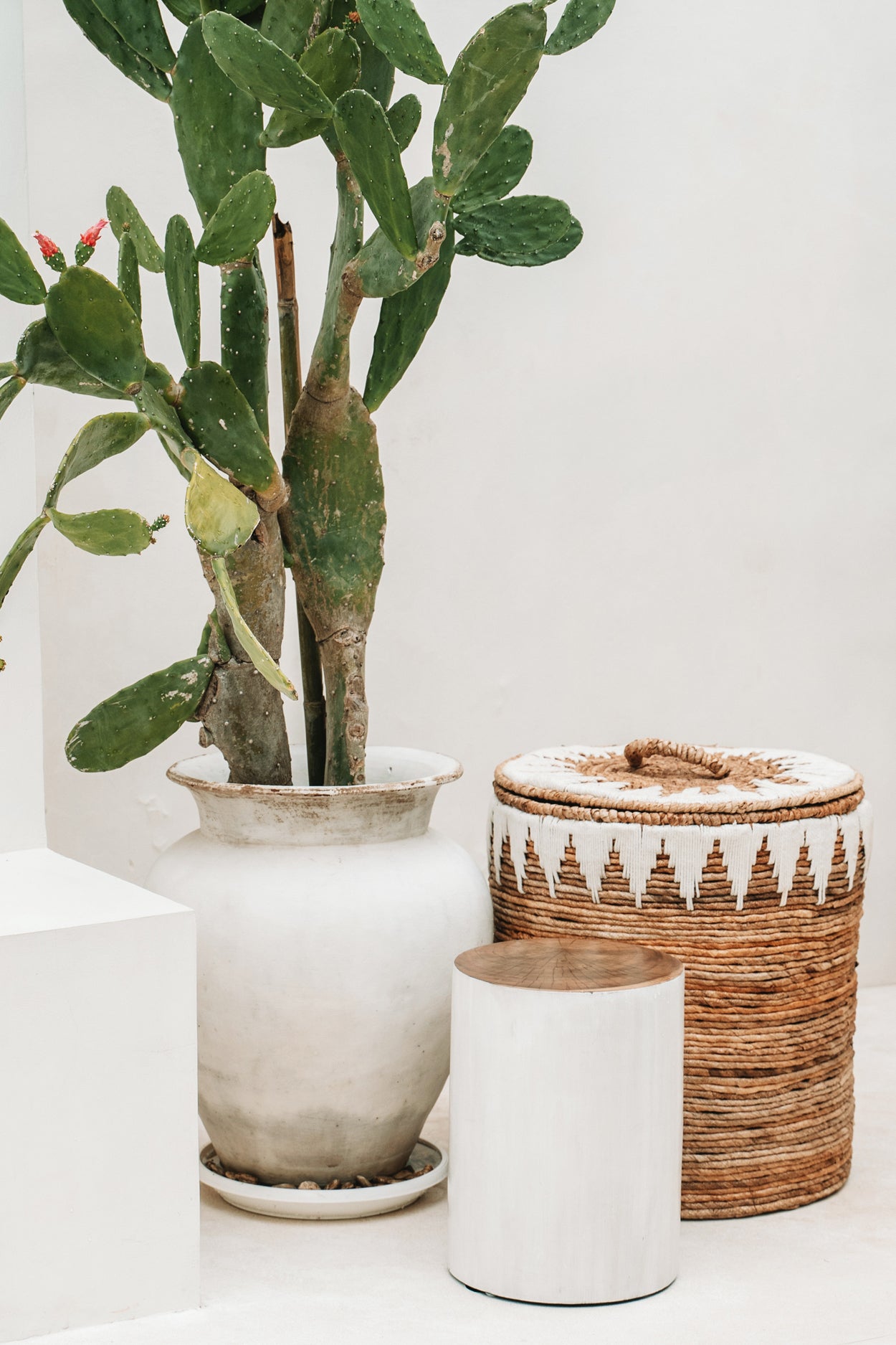 Le Panier Banana - L