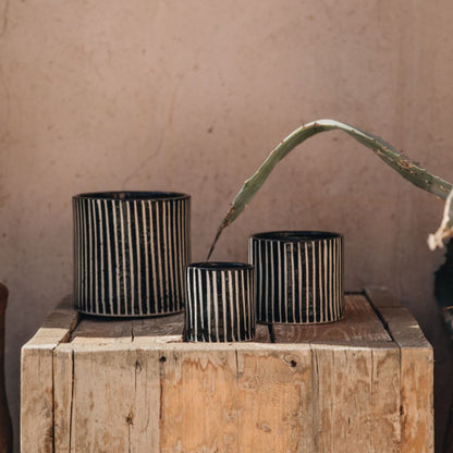 Bougie Zébré S – Mandarine Majorelle – Côté Bougie